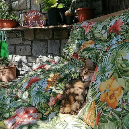 Auberge de jeunesse Perla Del Levante *