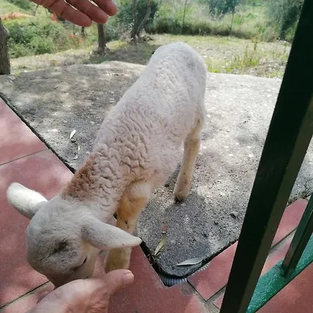 Auberge de jeunesse Perla Del Levante *