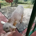 Vandrarhem Perla Del Levante *