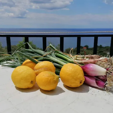 Perla Del Levante بيت شباب فرامورا