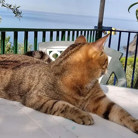 Hostel Perla Del Levante