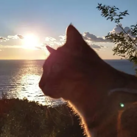 Perla Del Levante Hostel *