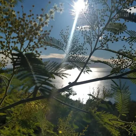 Perla Del Levante * Framura