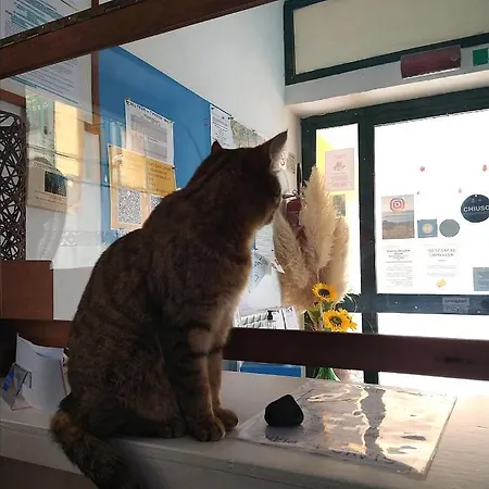 Perla Del Levante Hostel *