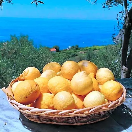 Perla Del Levante