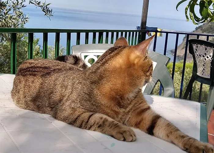 Auberge de jeunesse Perla Del Levante