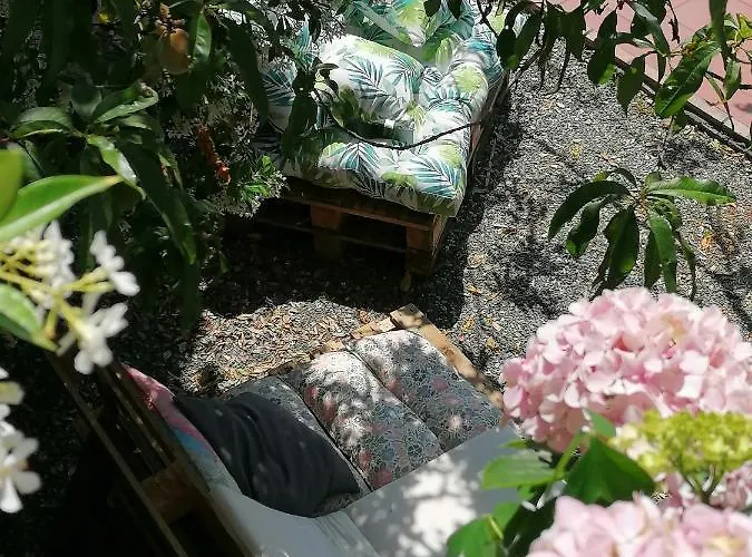 波拉德尔莱万特旅馆 旅馆