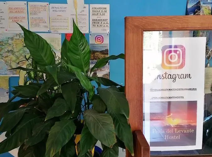 Auberge de jeunesse Perla Del Levante *