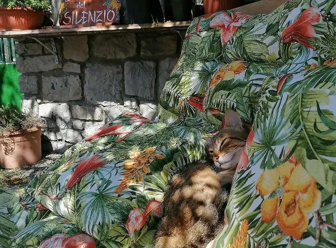 Auberge de jeunesse Perla Del Levante *