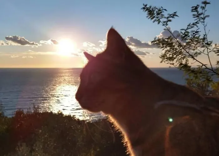 Perla Del Levante Auberge de jeunesse *