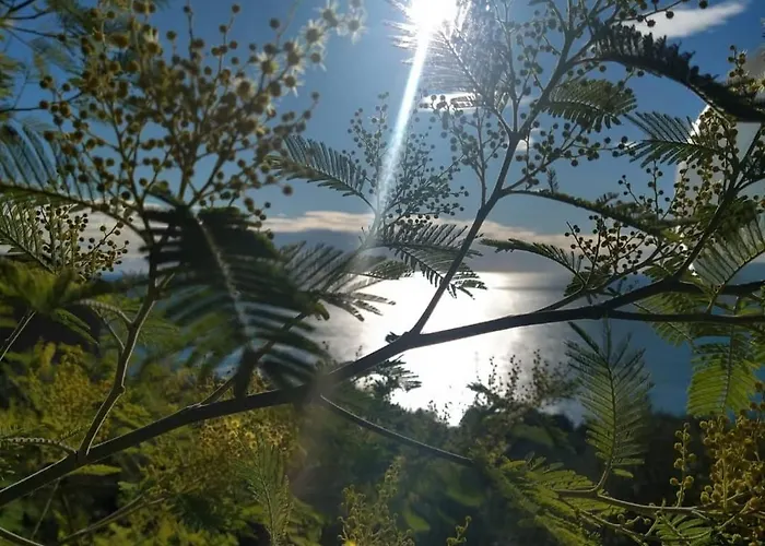 Perla Del Levante * Framura