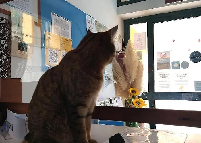 Perla Del Levante Auberge de jeunesse *